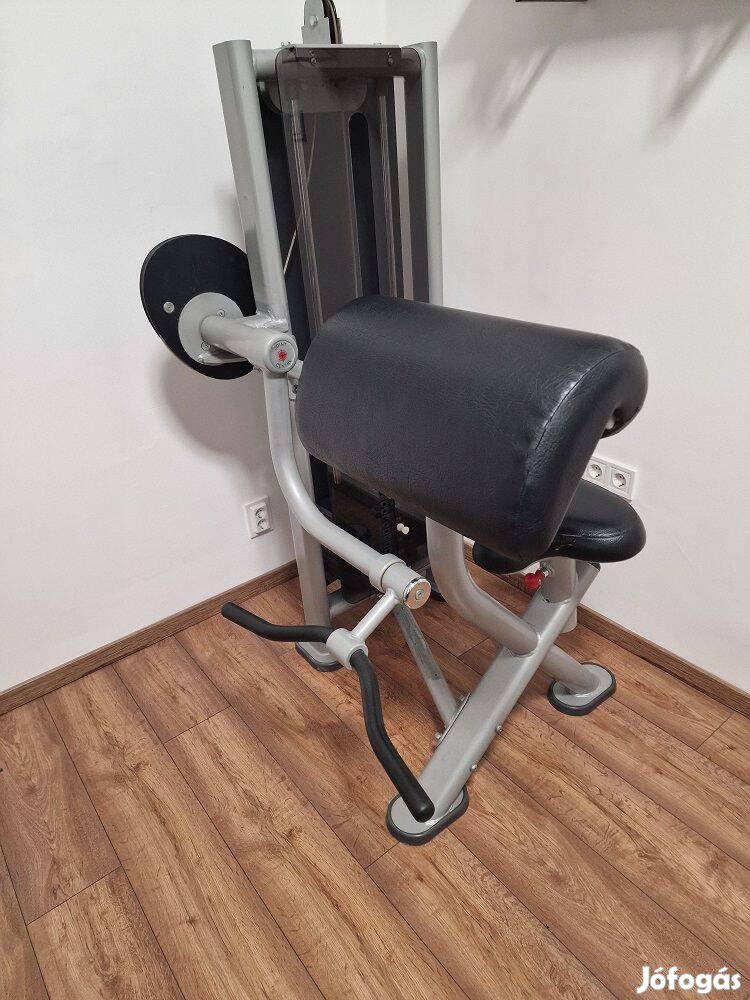 Panatta Fit Evo lapsúlyos bicepszgép edzőtermi bicepsz gép