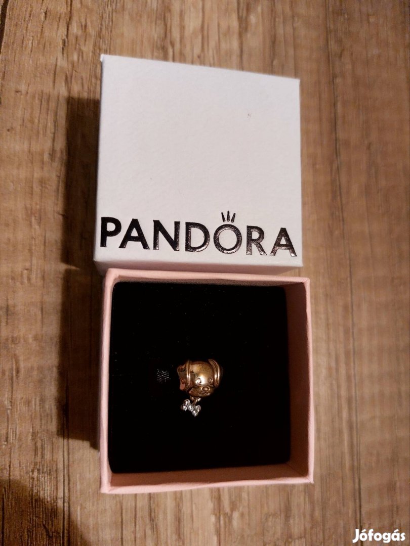 Pandora charm