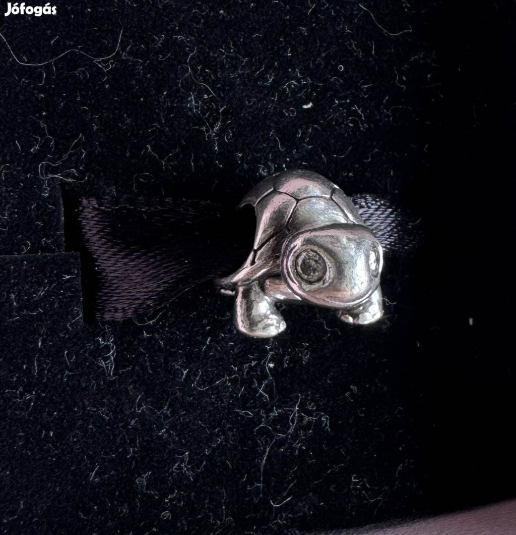 Pandora charm 