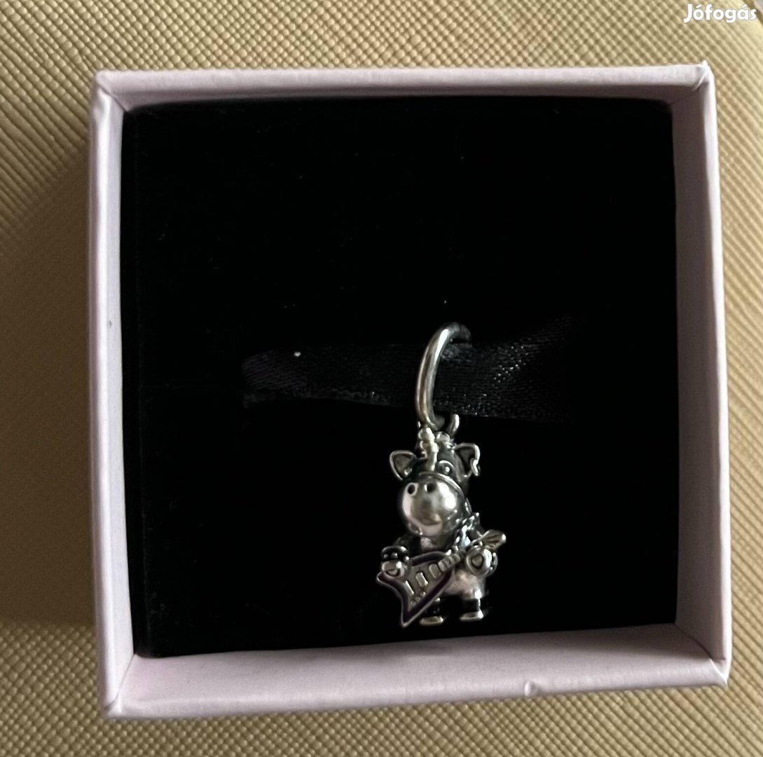 Pandora charm 