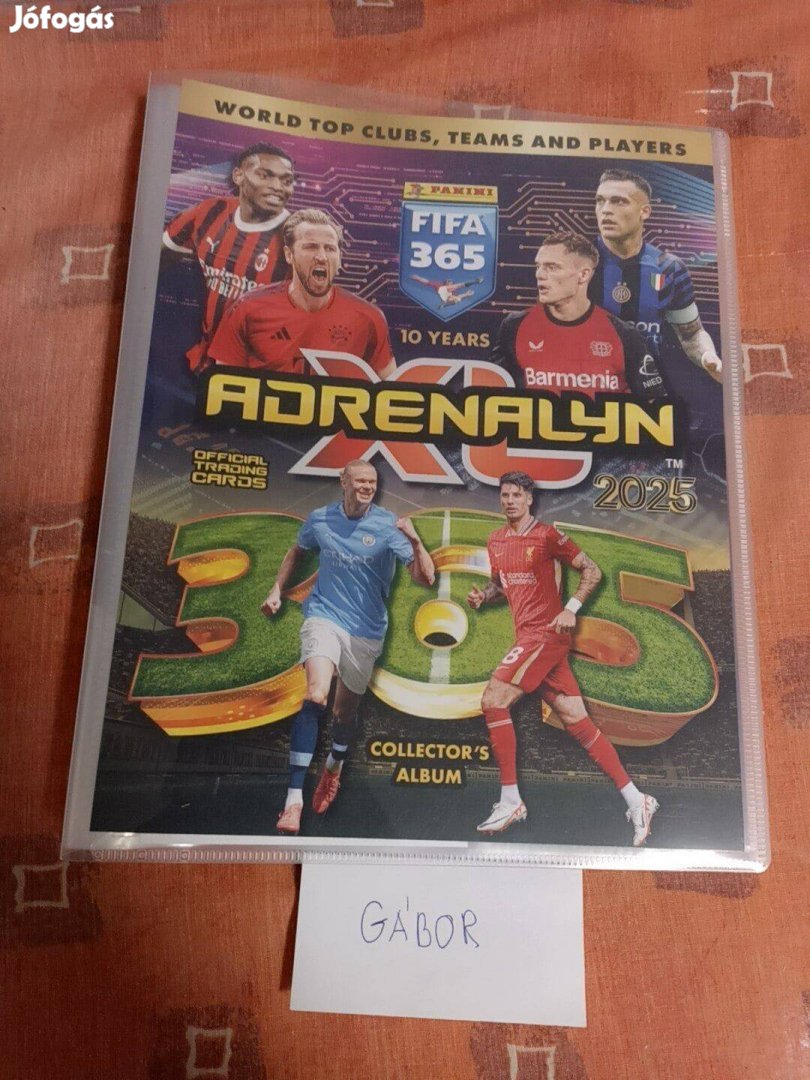 Panini 365 2025 üres album