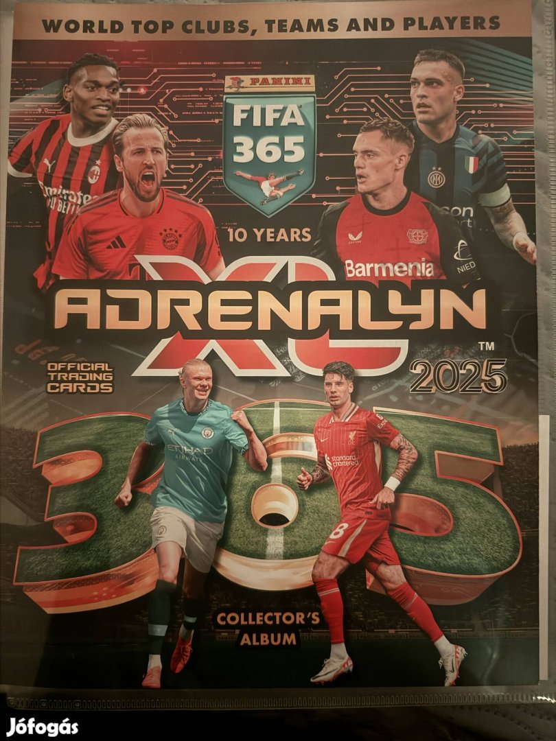 Panini Fifa 365 kártyák