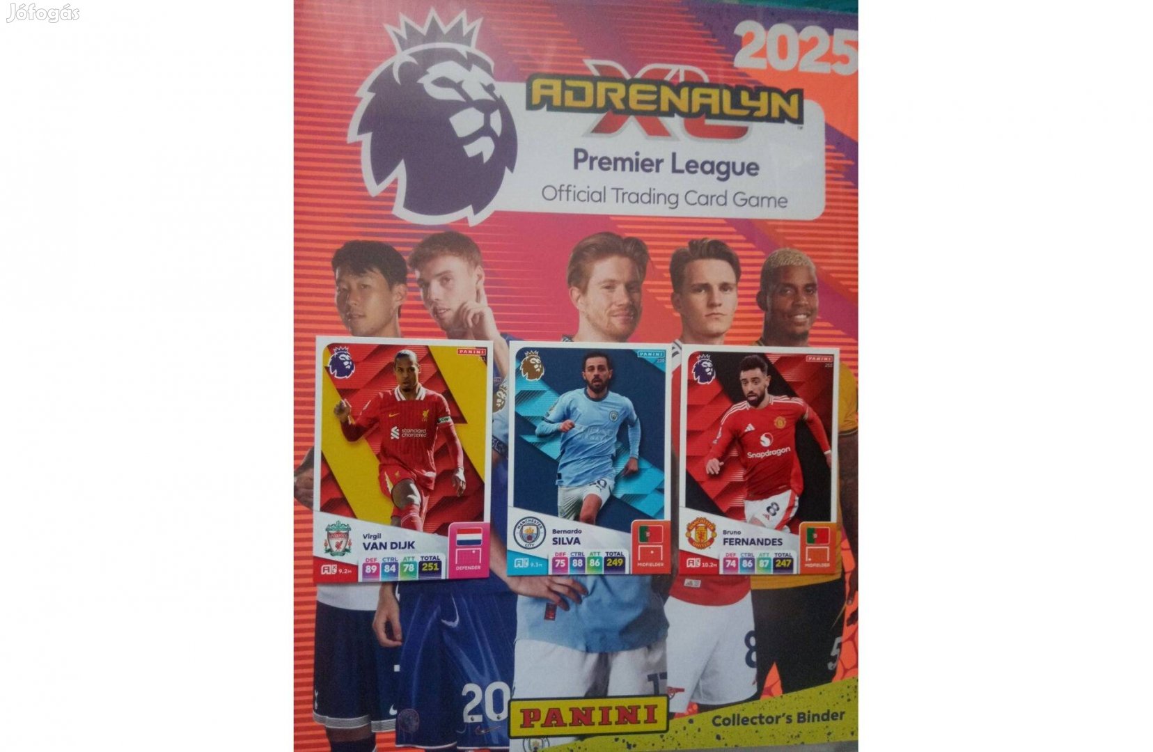 Panini Premier League 2025 Team Mate focis kártya