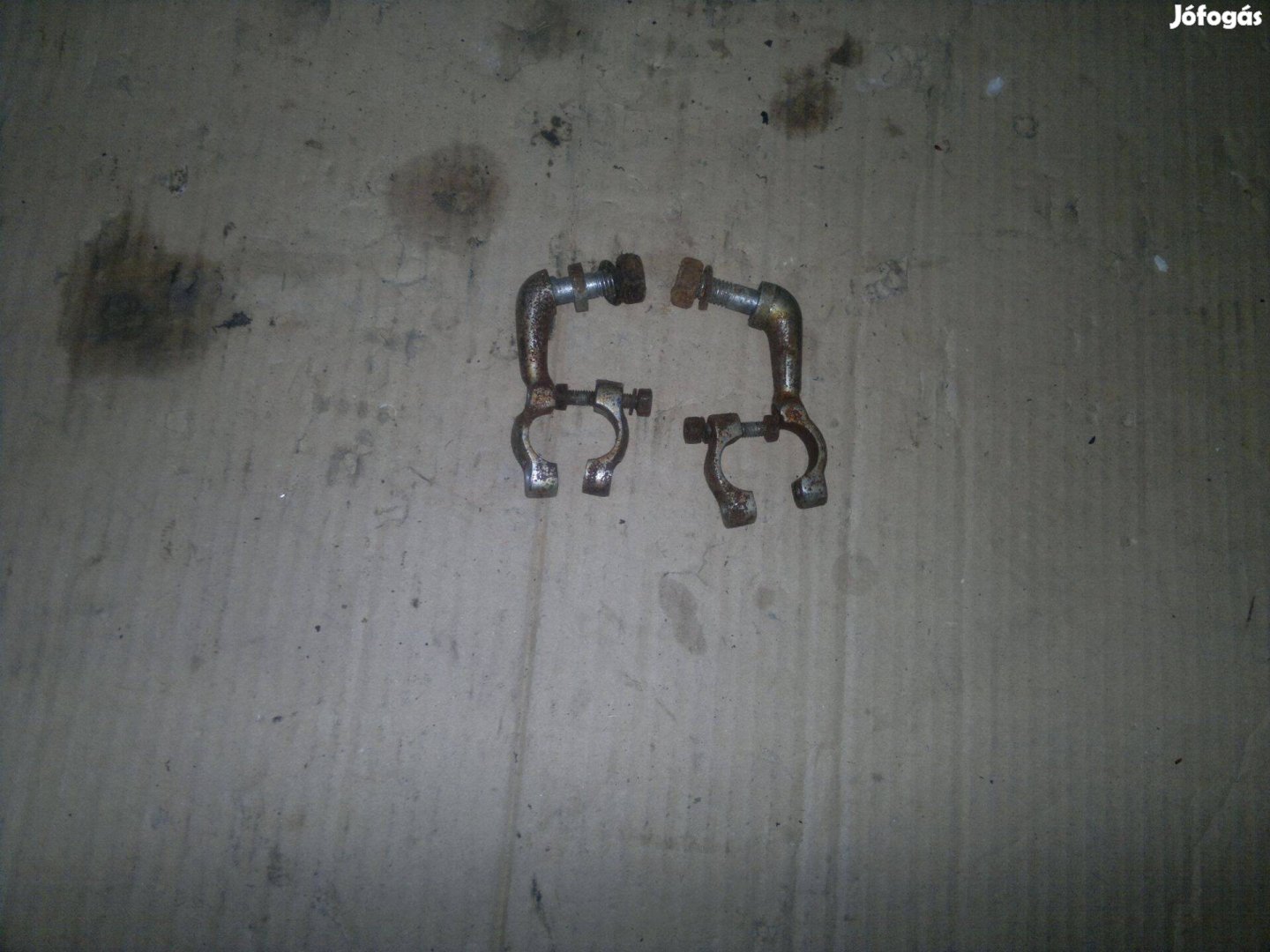 Pannonia kormánytarto pár