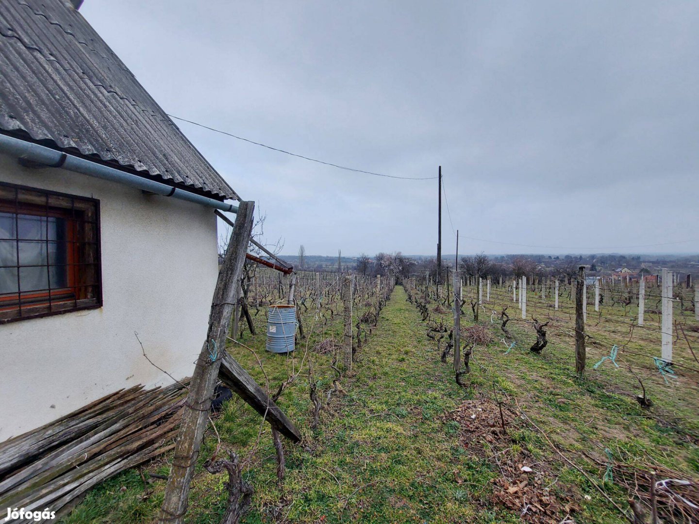 Panorámás, belterületi gyümölcsös présházzal eladó Bölcskén!