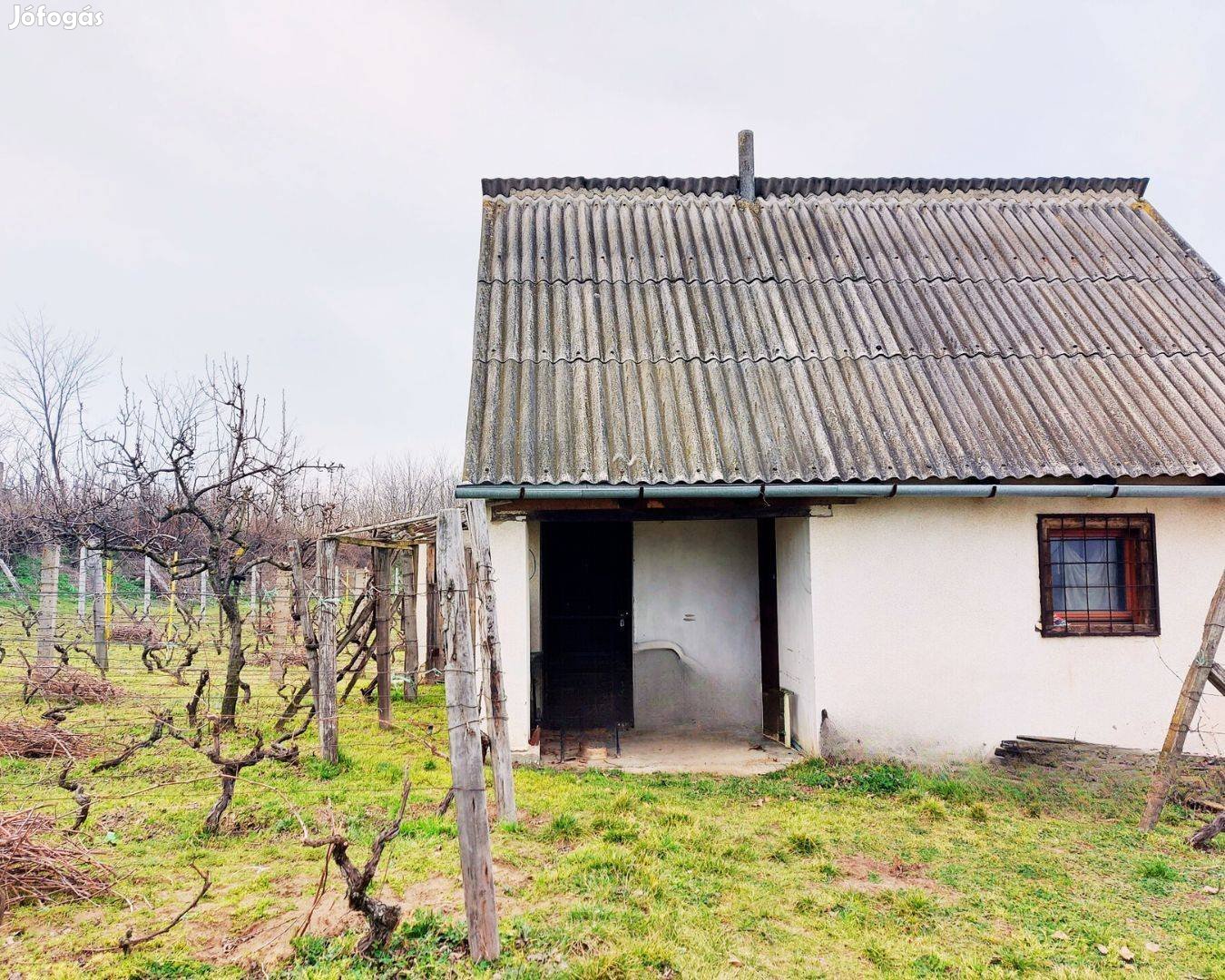 Panorámás, belterületi gyümölcsös présházzal eladó Bölcskén!