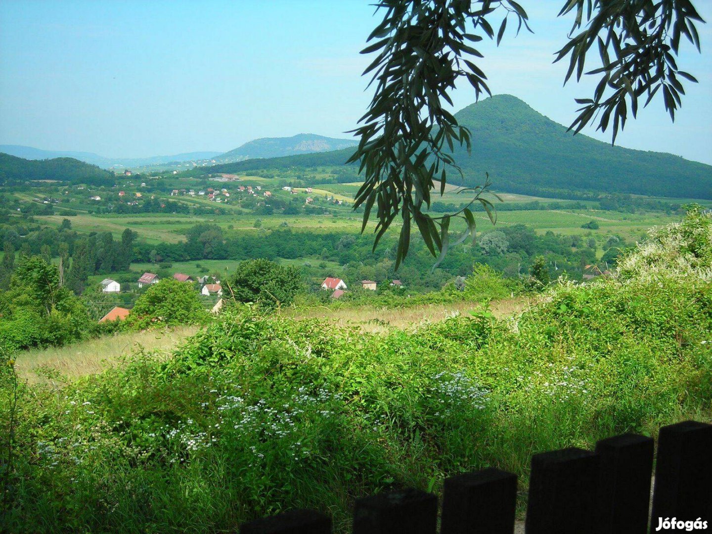 Panorámás, parkos telek