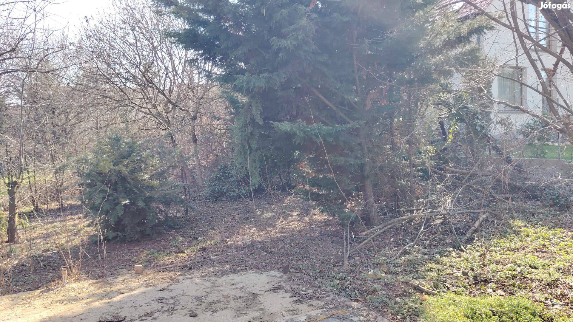 Panorámás építési telek Budakalászon Építse fel álmai