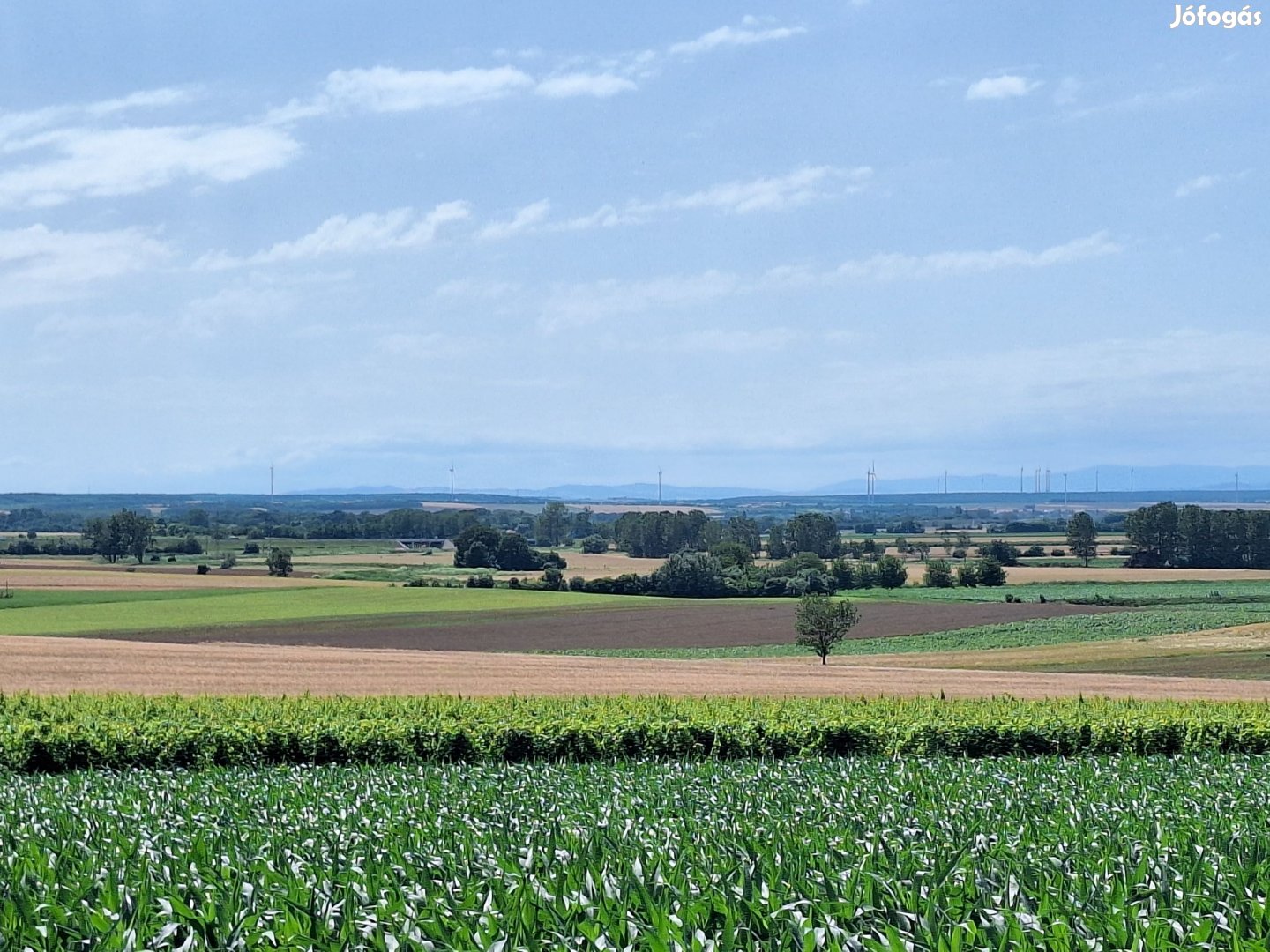 Panorámás építési telek Fertőszentmiklóson