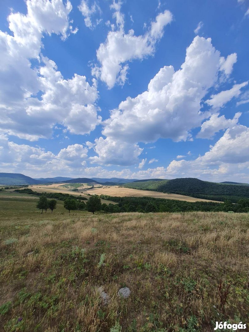 Panorámás fejlesztési telkek Szokolyán, erdővel  befektetőknek,