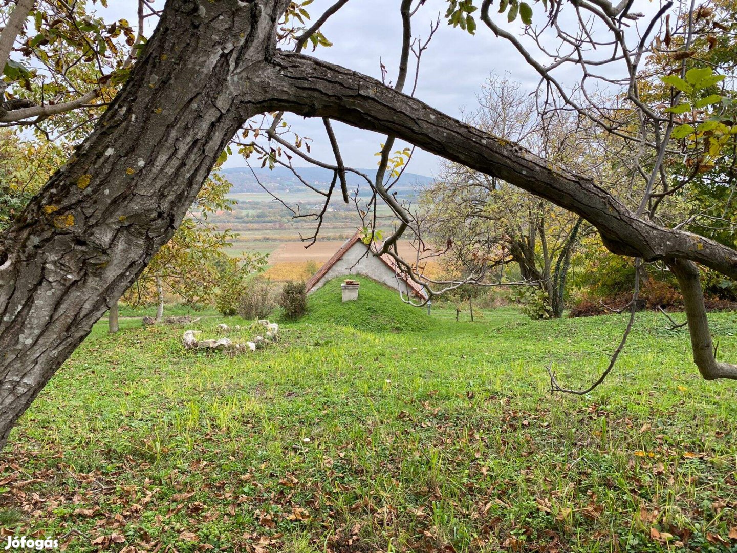 Panorámás házikó Dörgicse külterületén