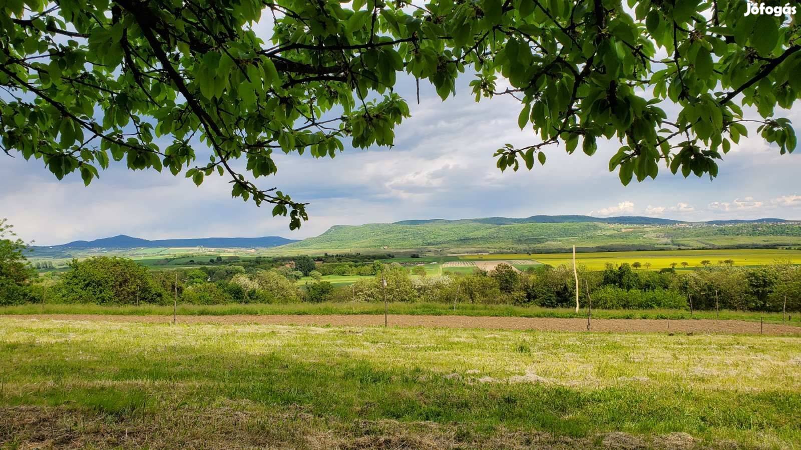 Panorámás présház 20 percnyire a keszthelyi strandoktól