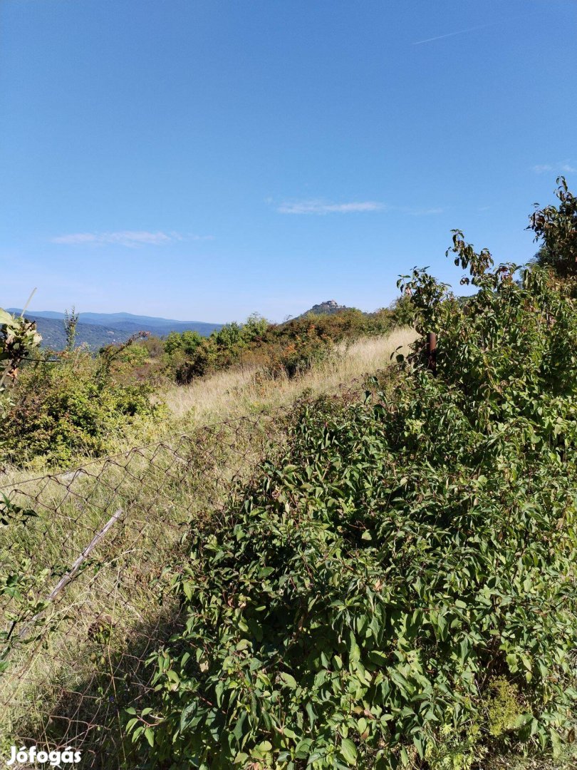 Panorámás telek eladó Visegrádon