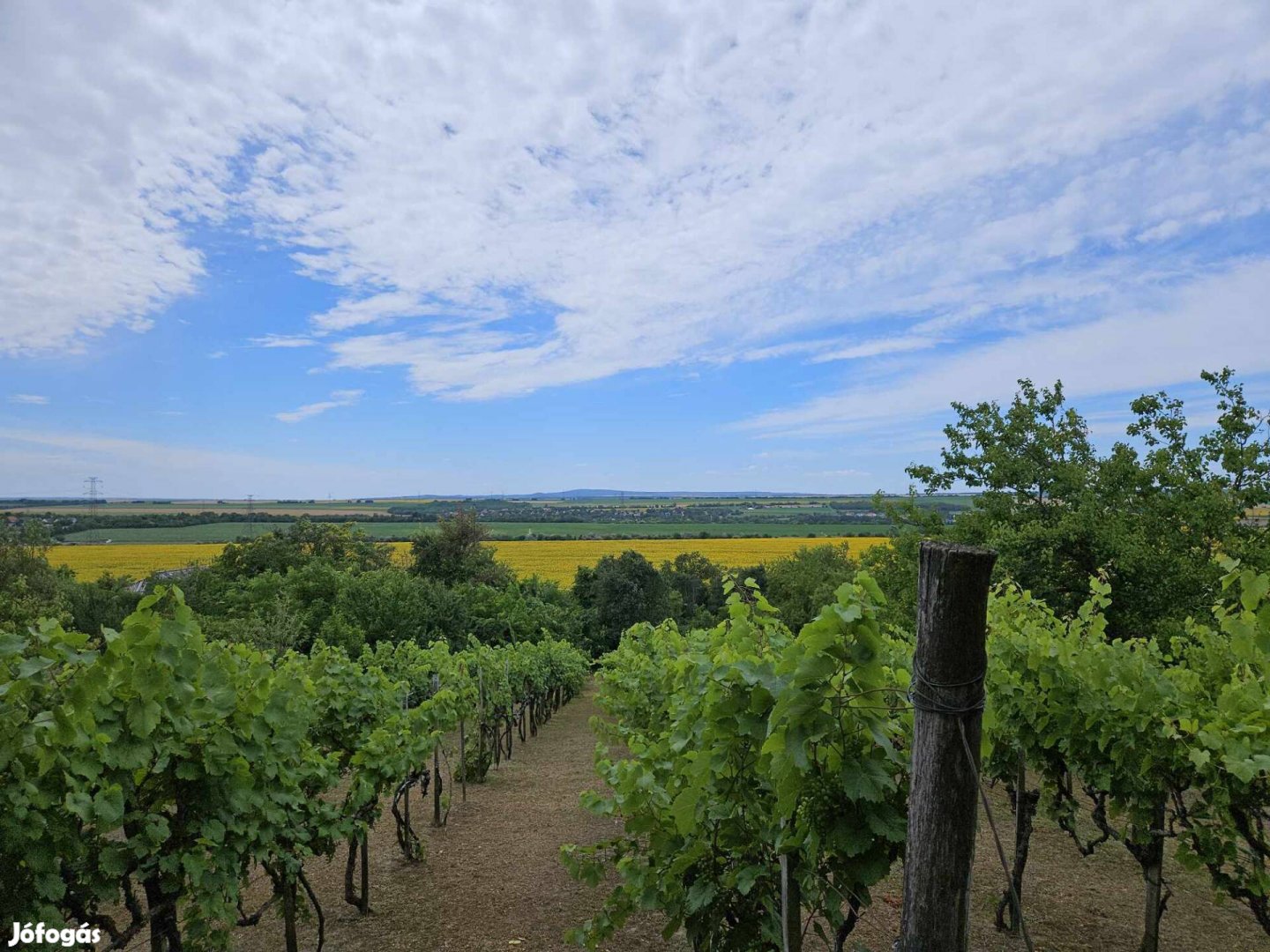 Panorámás zártkert Budapest közelében