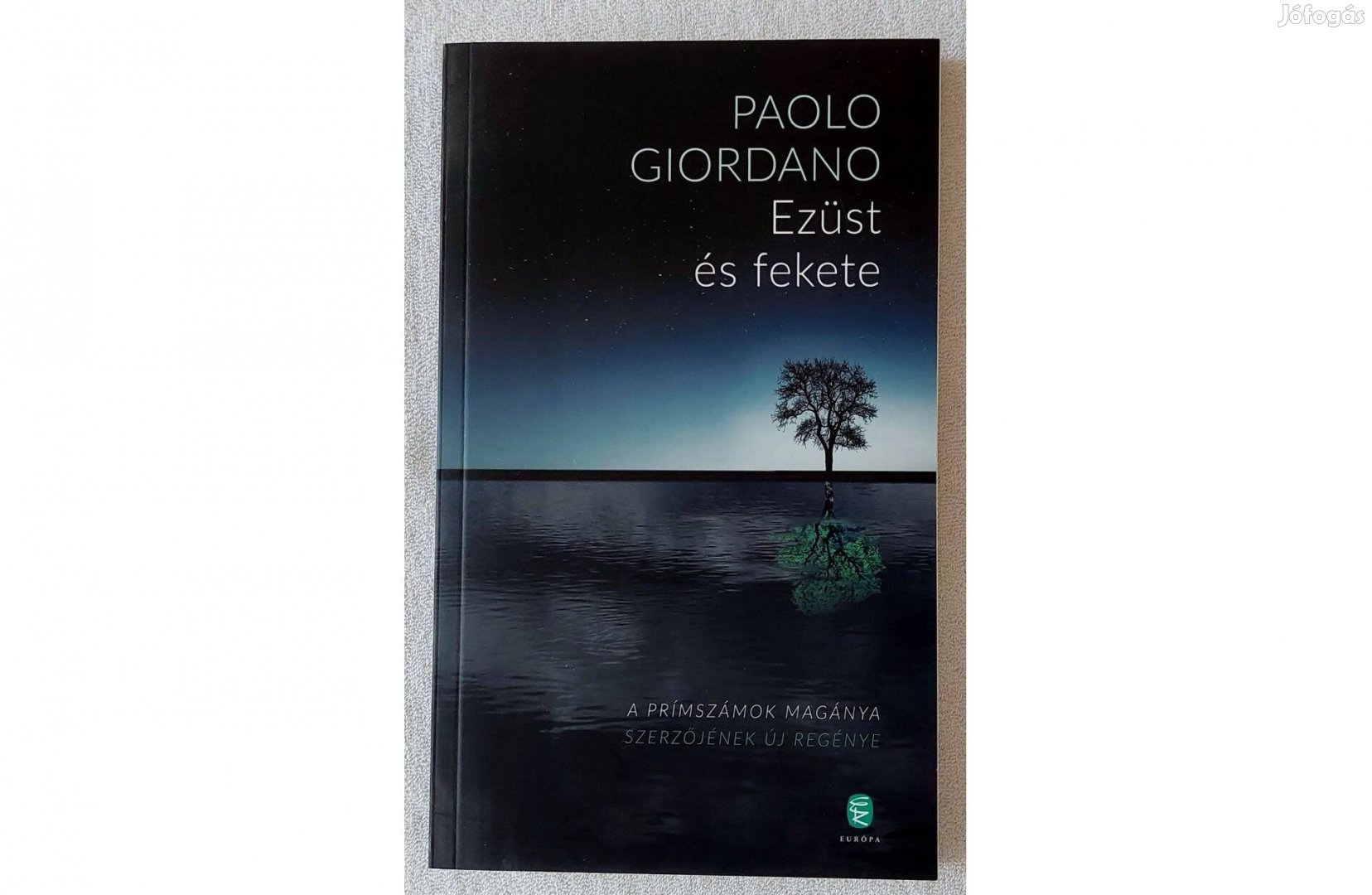 Paolo Giordano: Ezüst és fekete