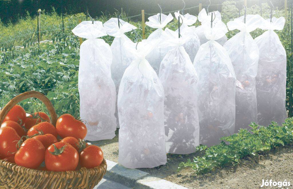 Paradicsomtermesztő tömlő,címére szállítva. Annak érdekében, hogy a pa