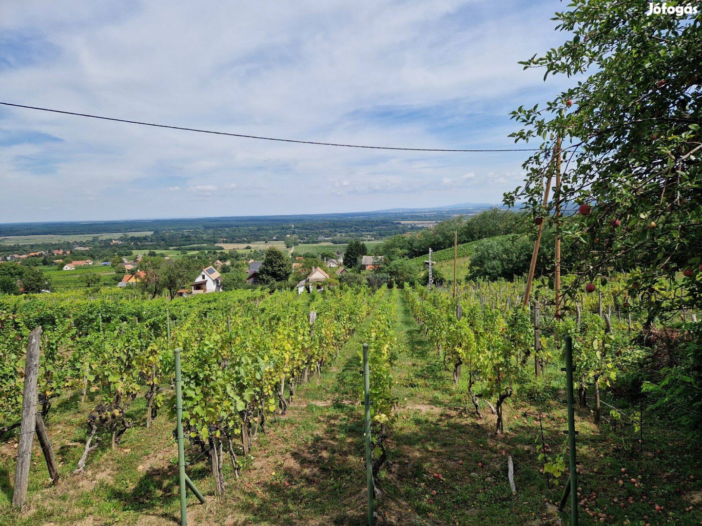 Páratlan panorámás szőlő telek