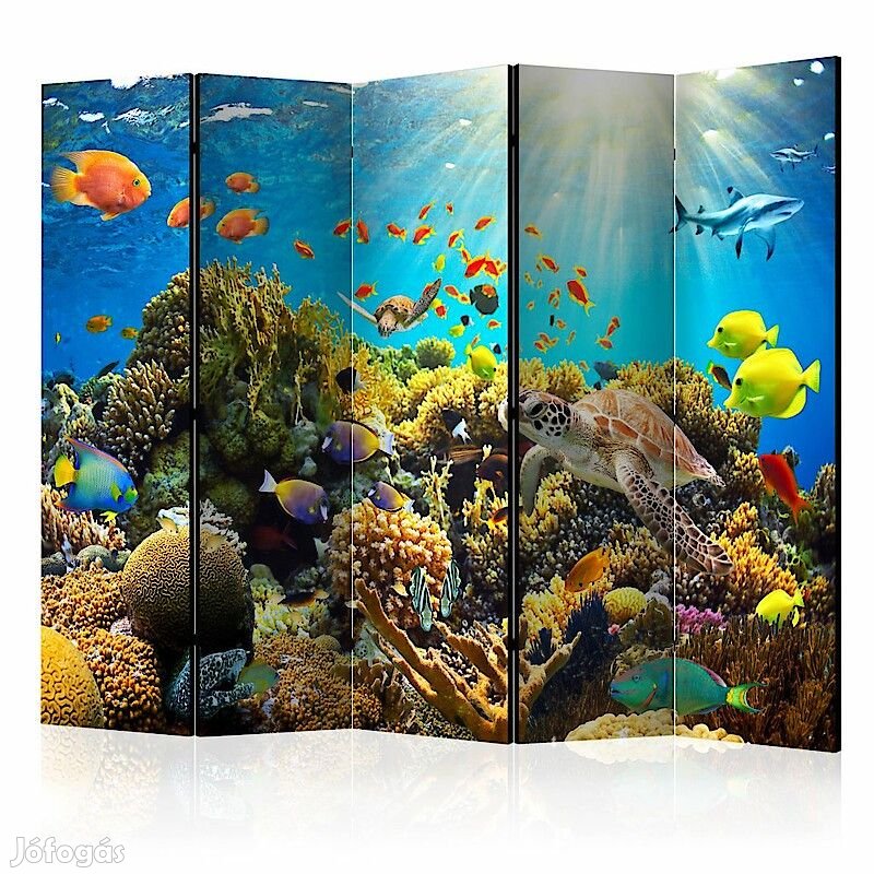 Paraván - Csoda a felszín alatt