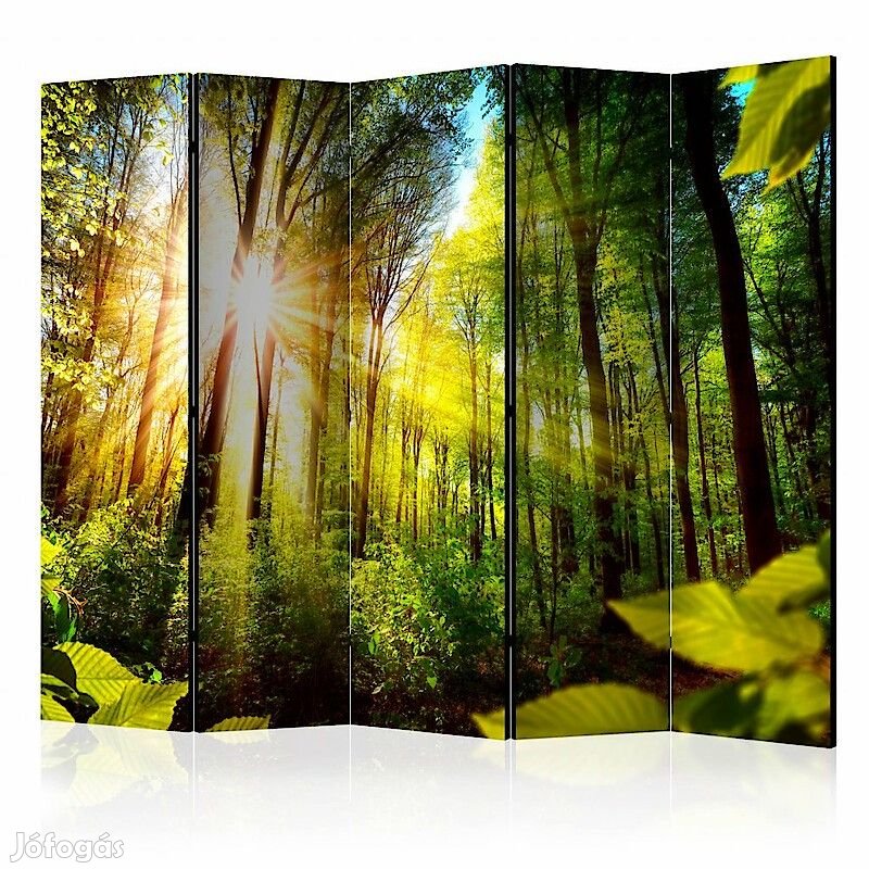 Paraván - Erdei rejtekhely II