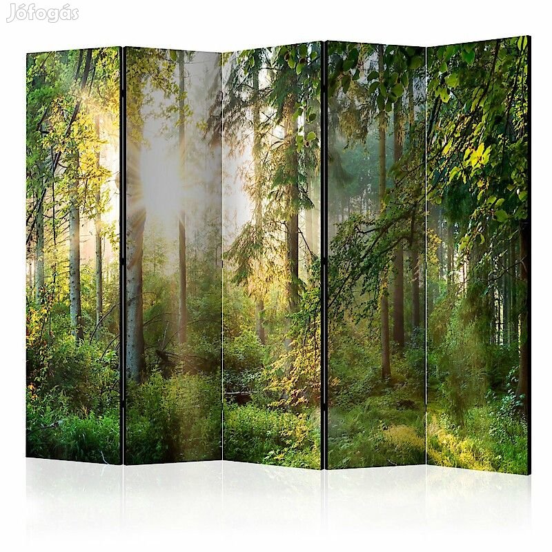 Paraván - Érintetlen természet 1