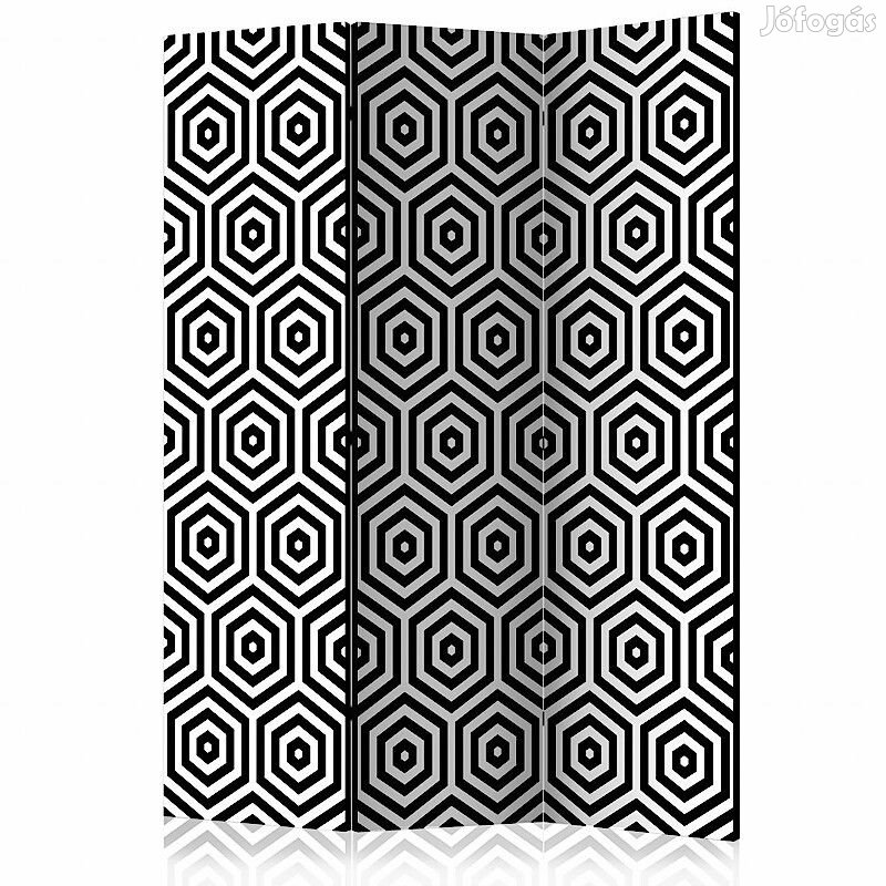 Paraván - Fekete-fehér hipnózis