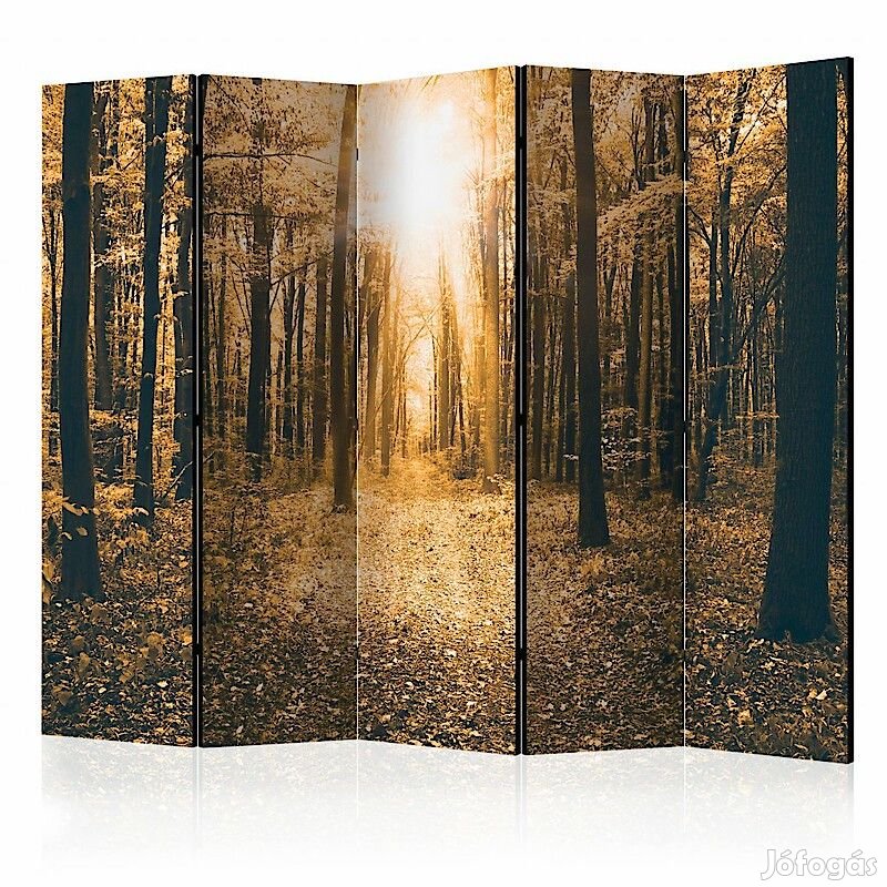 Paraván - Földöntúli fény II