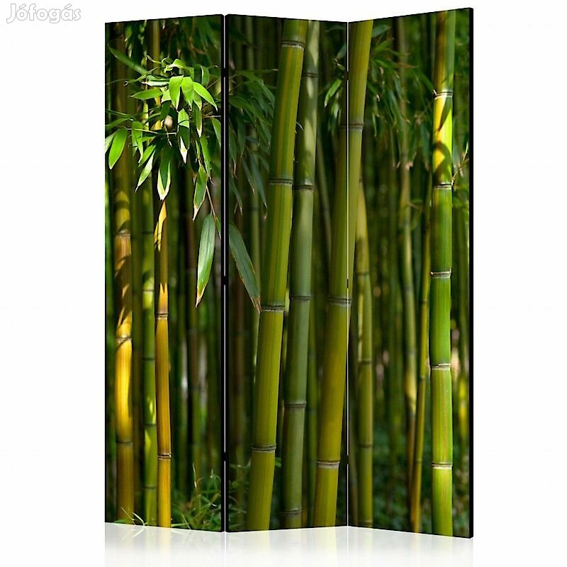 Paraván - Keleti kert