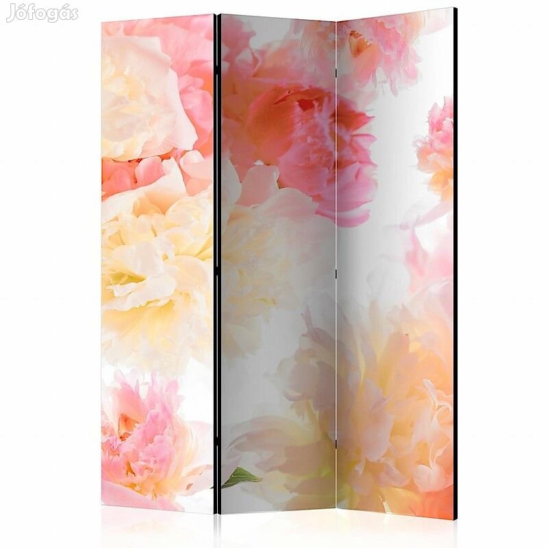 Paraván - Pasztell pünkösdi rózsák