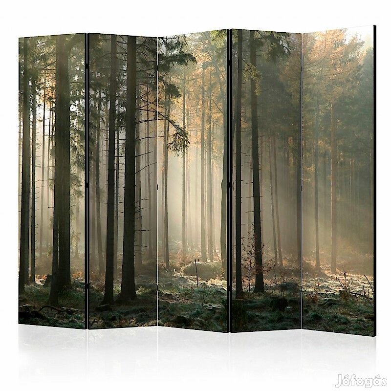 Paraván - Reggeli köd az erdőben II