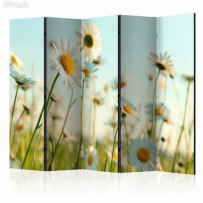 Paraván - Százszorszépek a tavaszi réten II