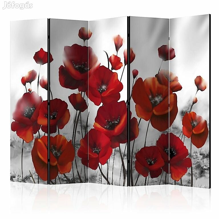 Paraván - Téli pipacsszőnyeg 2