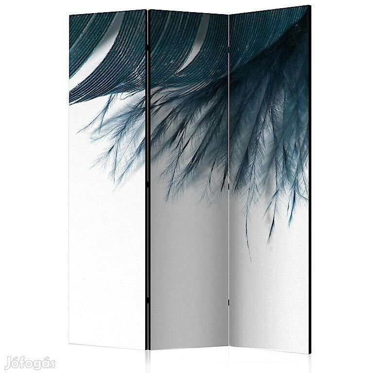 Paraván - Tollak tánca