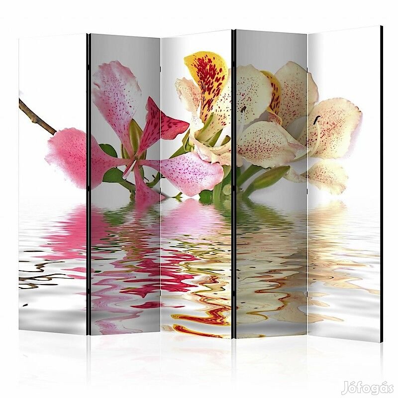 Paraván - Trópusi virágok - orchideafa bauhinia II