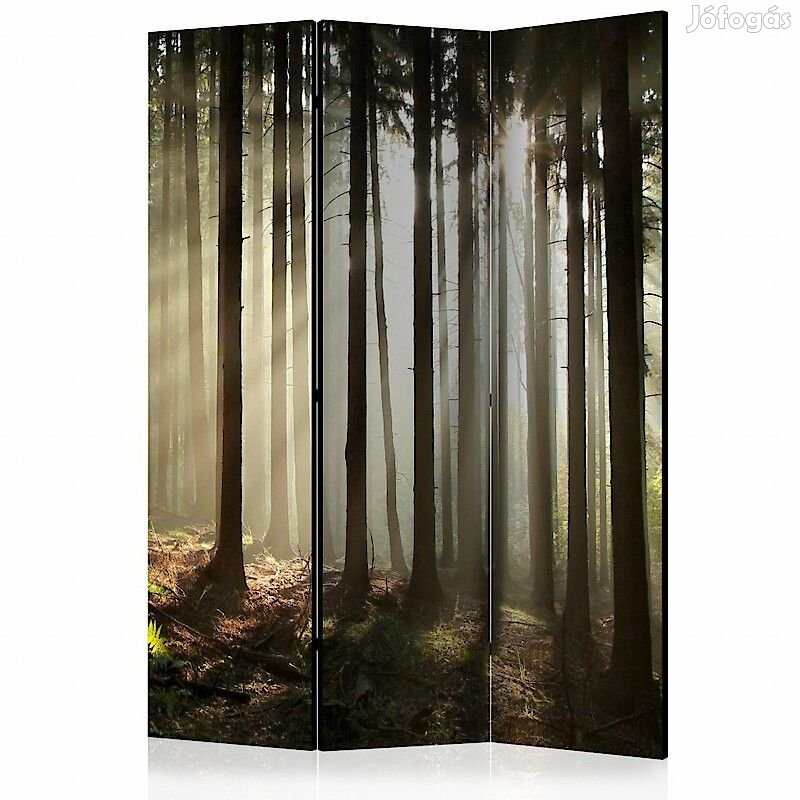 Paraván - Tűlevelű erdő