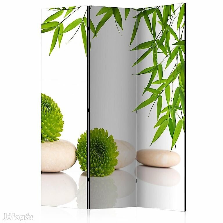 Paraván - Üdítő zöld bambusz