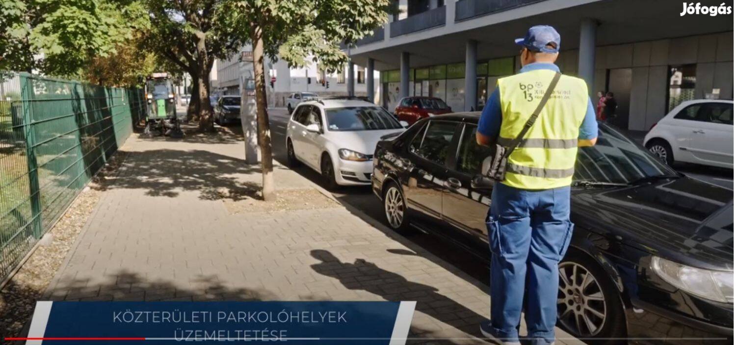 Parkolóellenőr