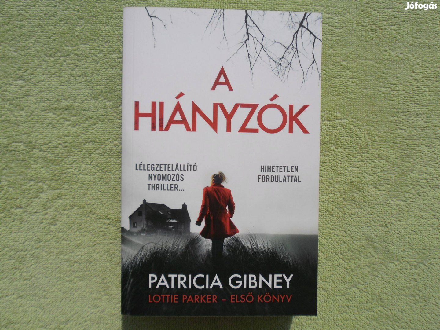 Patricia Gibney: A hiányzók