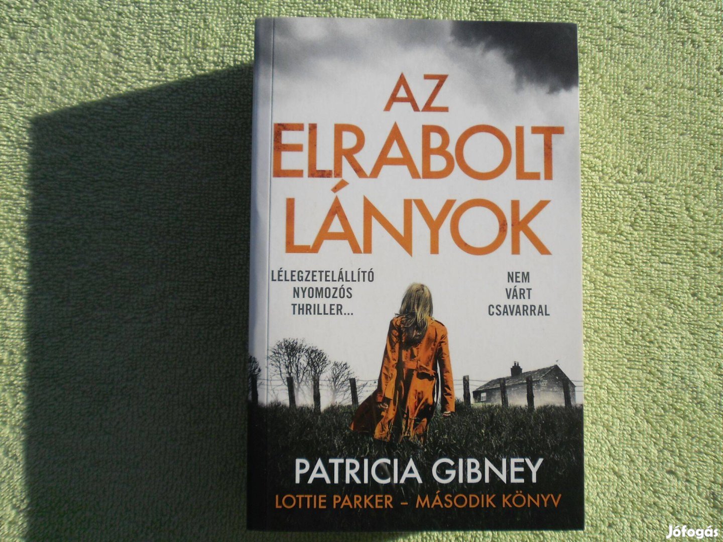 Patricia Gibney: Az elrabolt lányok