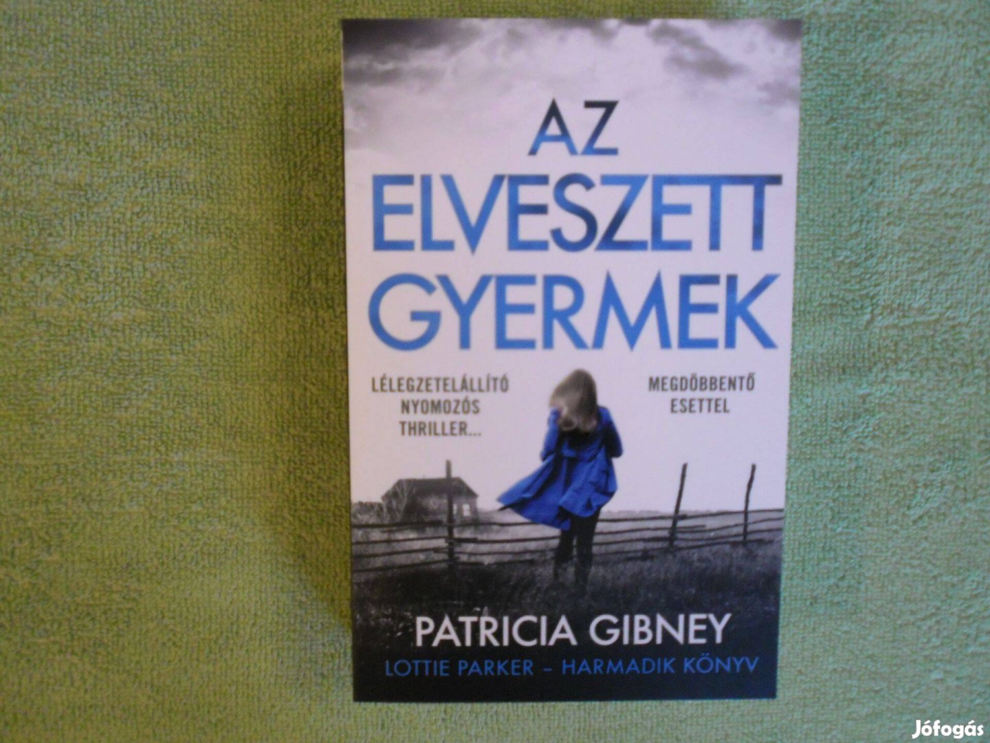 Patricia Gibney: Az elveszett gyermek