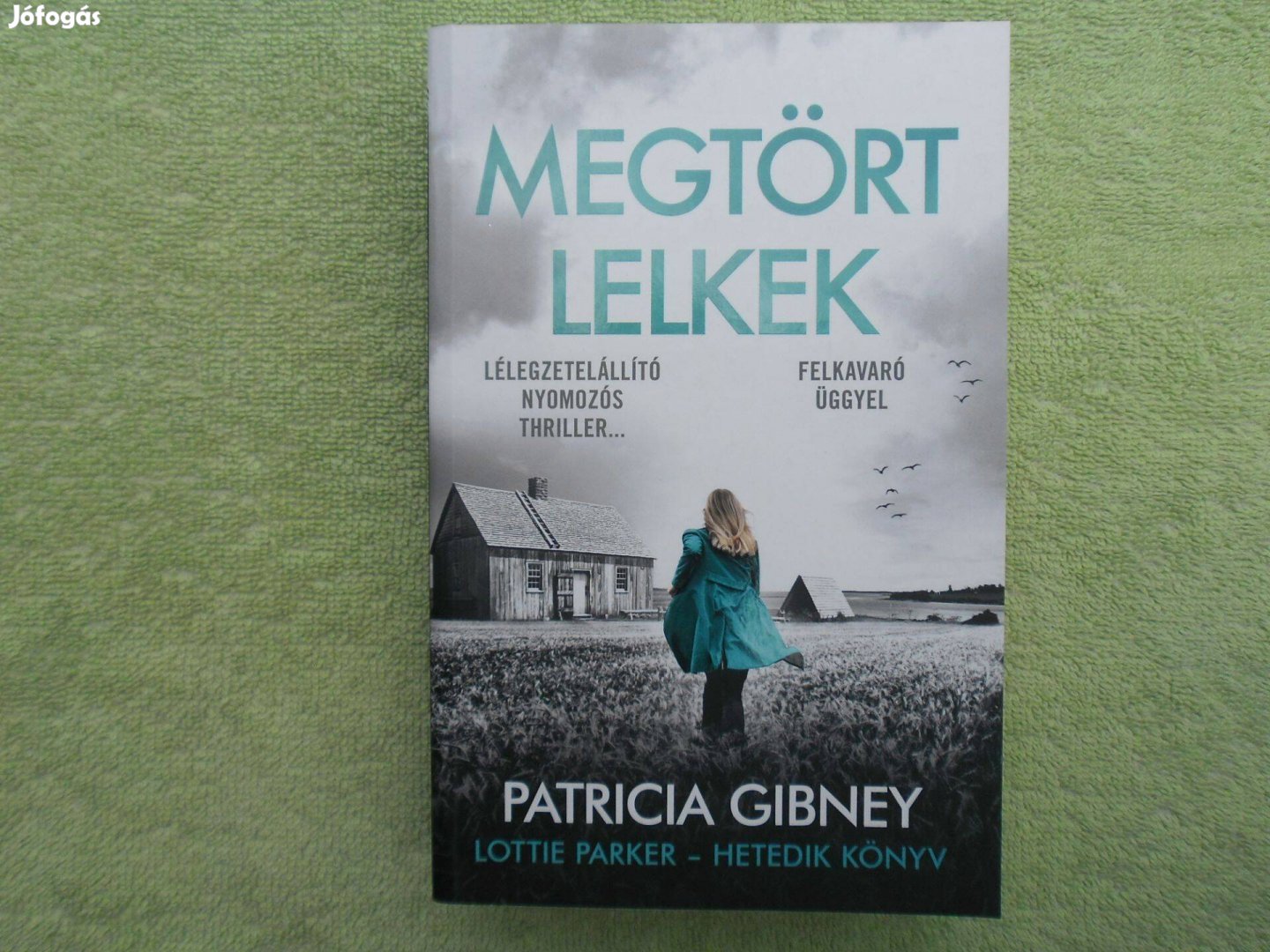 Patricia Gibney: Megtört lelkek