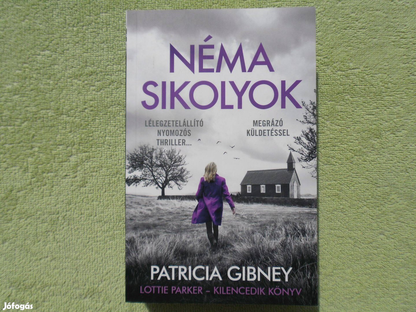 Patricia Gibney: Néma sikolyok