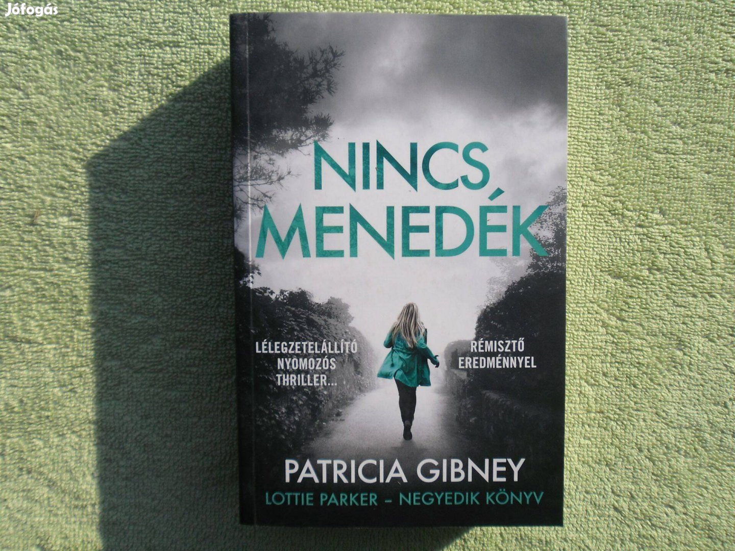 Patricia Gibney: Nincs menedék