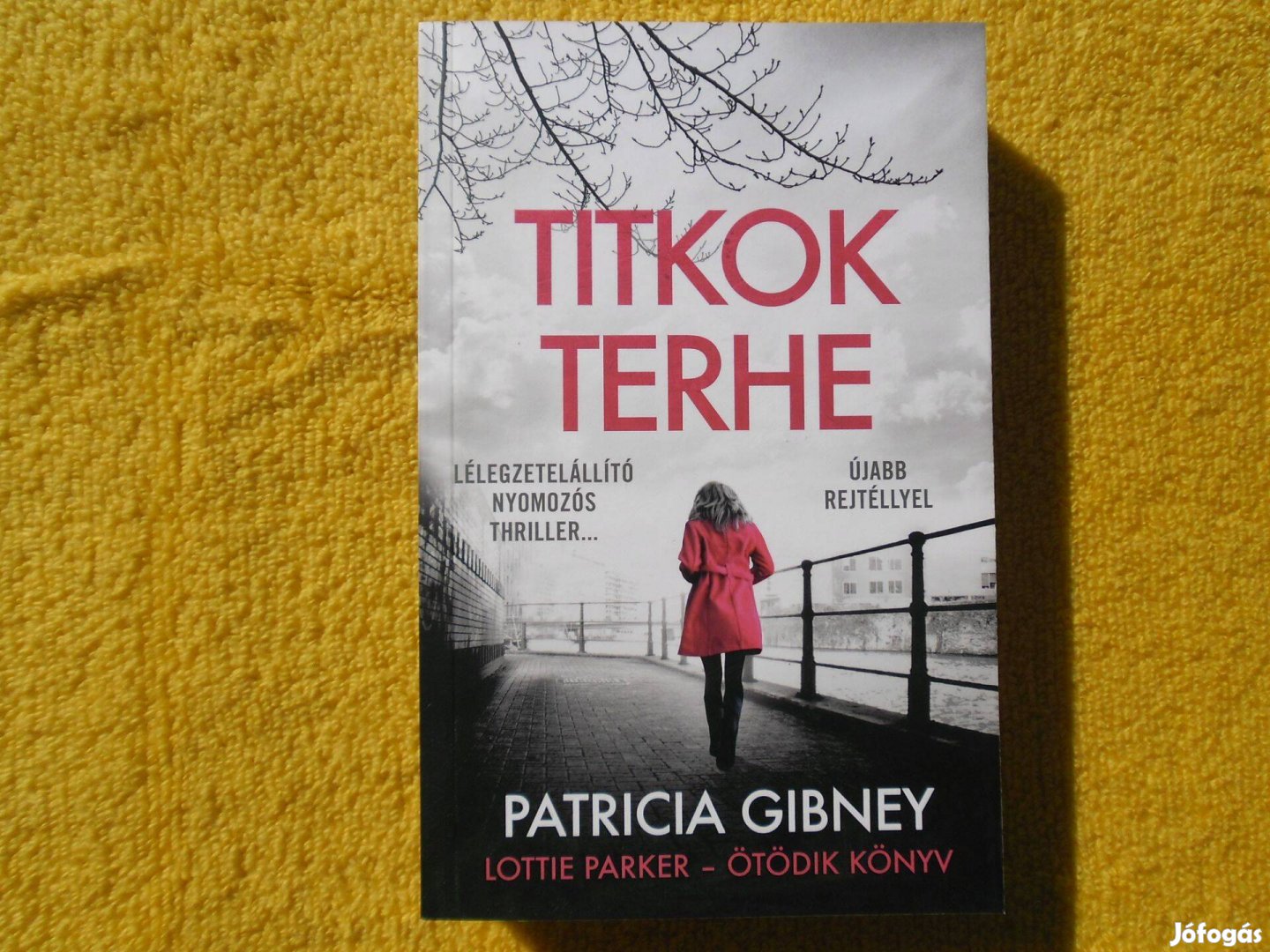 Patricia Gibney: Titkok terhe