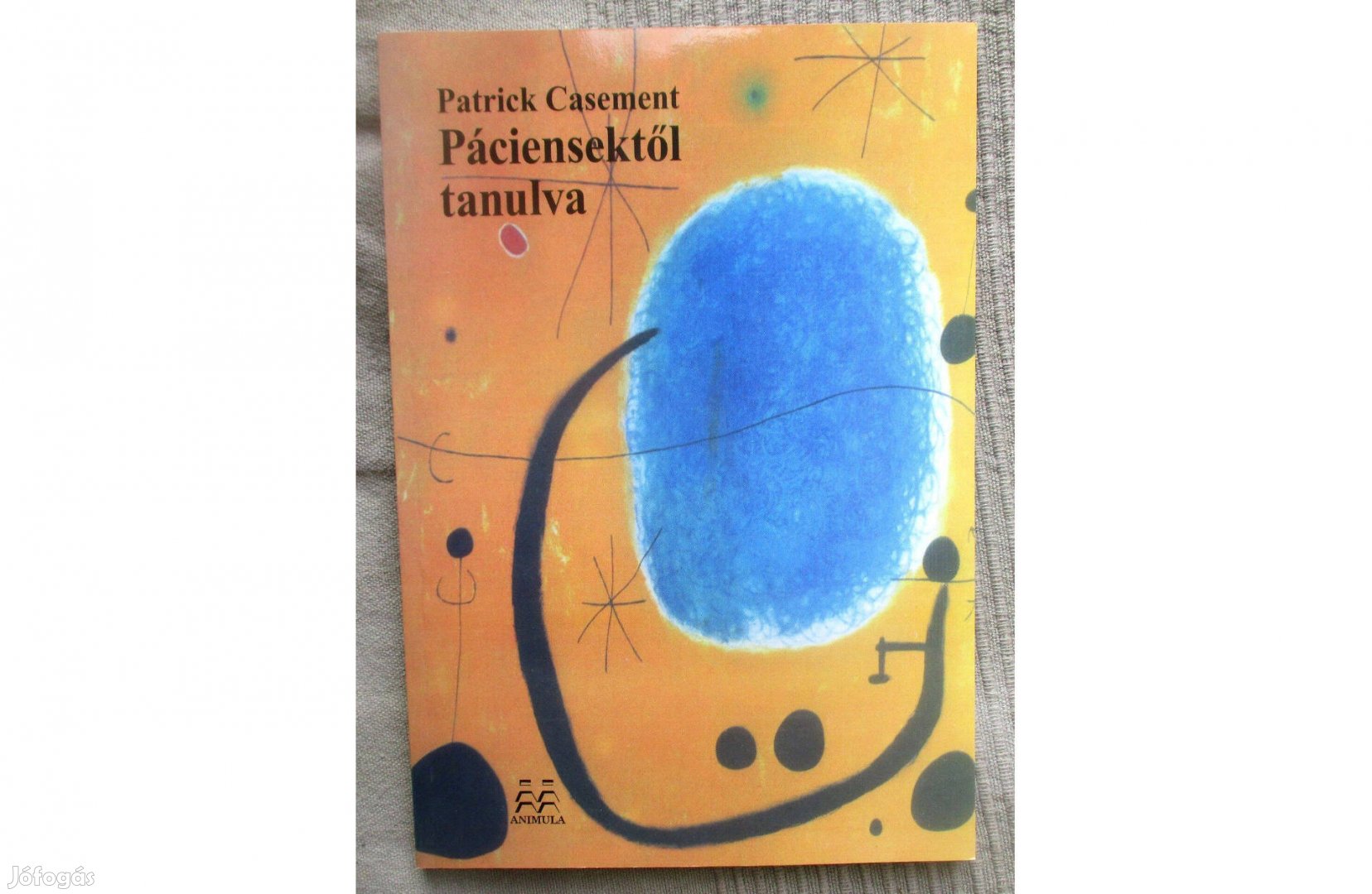 Patrick Casement: Páciensektől tanulva