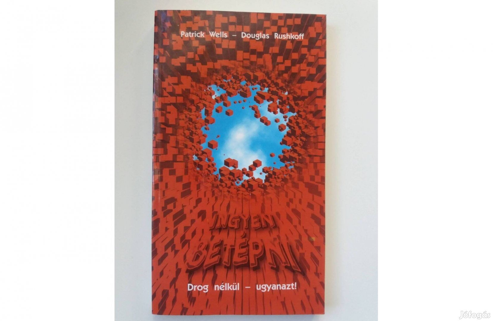 Patrick Wells, Douglas Rushkoff: Ingyen betépni (Drog nélkül-ugyanaz)