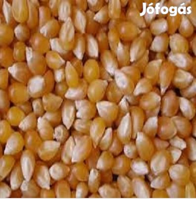 Pattogtatnivaló kukorica 1kg 1833