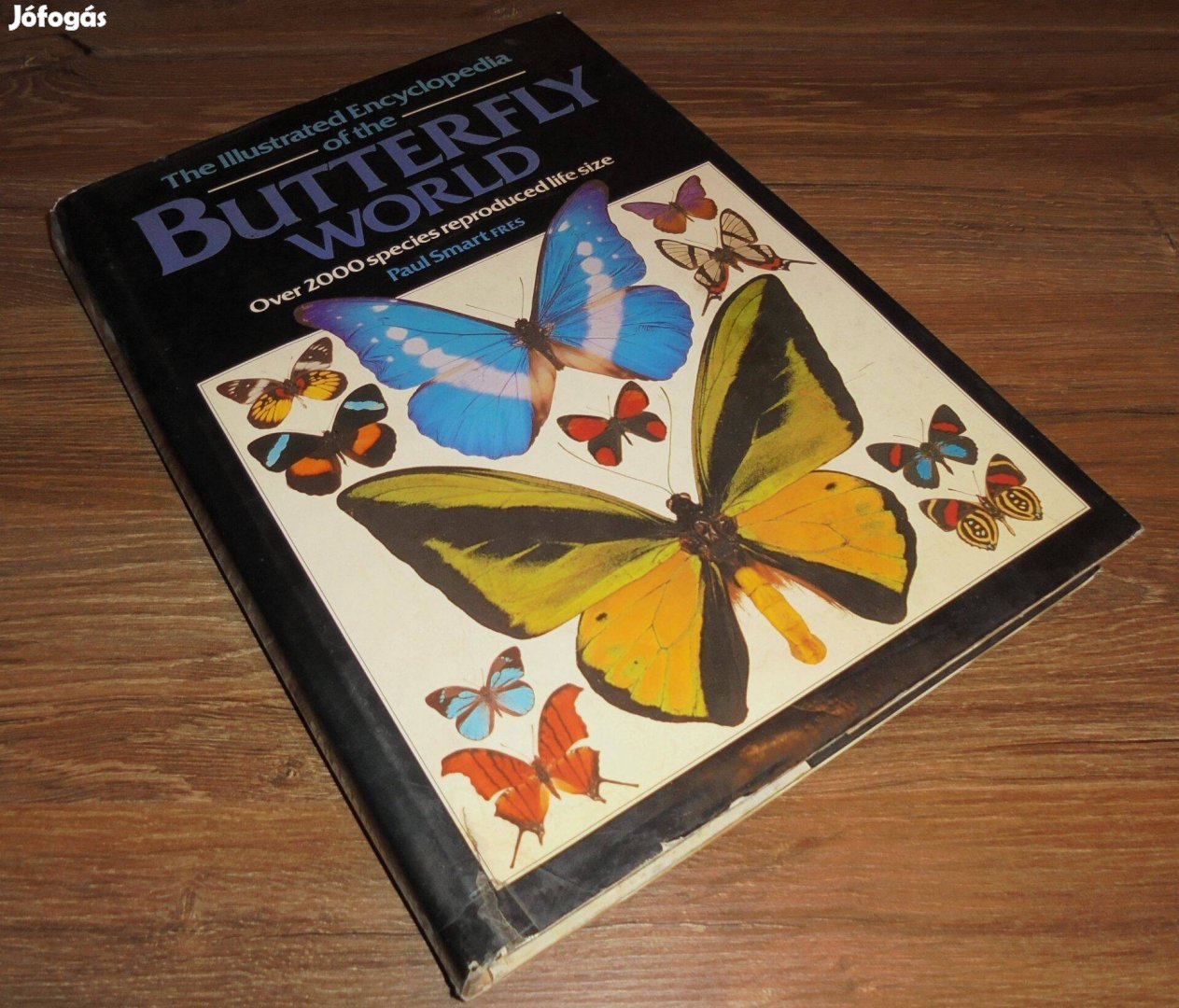 Paul Smart: Butterfly World