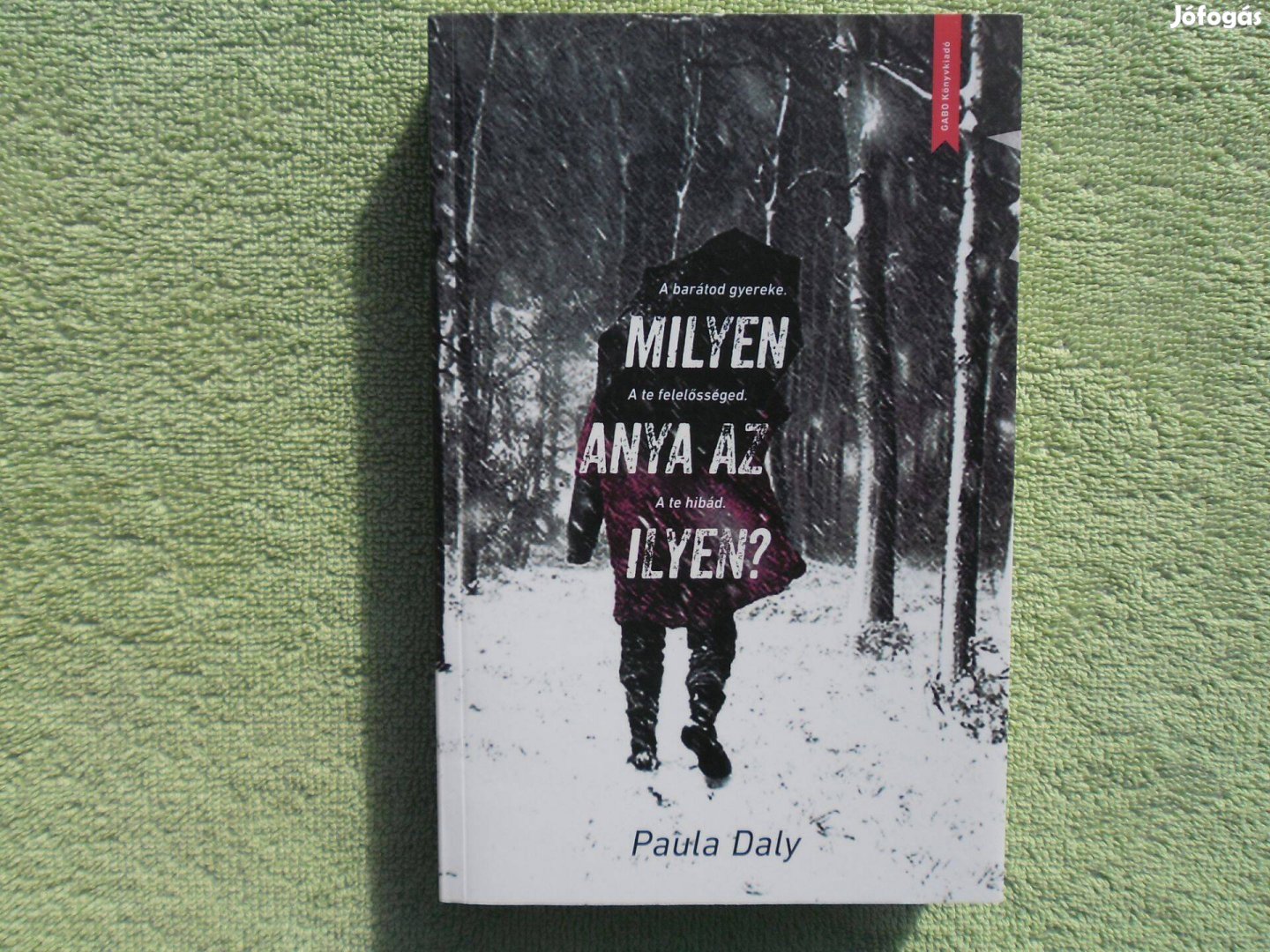 Paula Daly: Milyen anya az ilyen