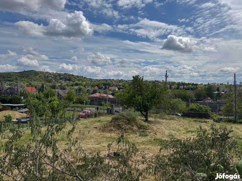 Pécel, Erzsébet sétány, 900 m2-es, telek