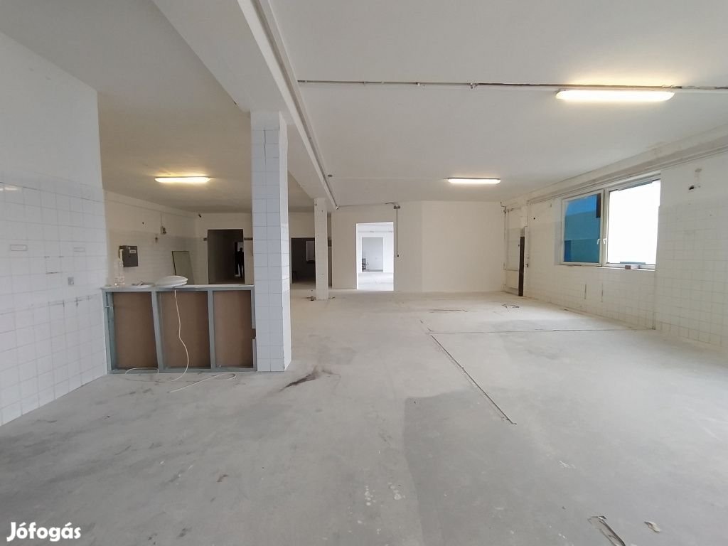 Pécel, Határ út, 650 m2-es, egyéb üzlethelyiség, 8 szobás, jó állapotú